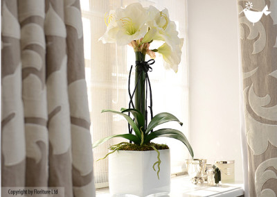 HOME_FLORITURE_15