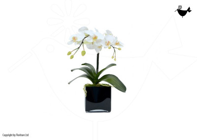 PRODUCTS_FLORITURE_1