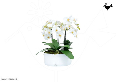 PRODUCTS_FLORITURE_2